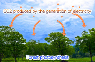 太陽光発電